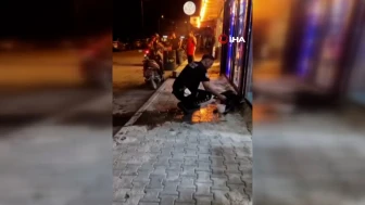 Hatay'da sokak köpeği silahla yaralandı: Polis ekipleri veterinere götürdü