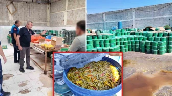 Mersin zabıtasından iğrenç tuzağa baskın... Markalı etiket basıp millete satacaklardı! Çöp sularının içinde tonlarca küflü turşu ele geçirildi
