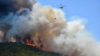 Orman yangınlarıyla ilgili soruşturma kapsamında 16 kişi tutuklandı!