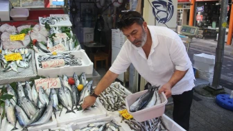 Balık fiyatları çakıldı: Hamsi 200, palamut 100 TL! Balık tezgahları doldu taştı