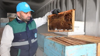 Petekler artık çöpe gitmeyecek: Arıcıların yüzünü güldüren sistem