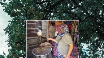 Toroslar'dan sofralara uzanıyor: Kilosu 500 liradan satılıyor