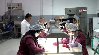 Sakarya'da tüm köyün ortak olduğu fabrikada fındık üretiliyor