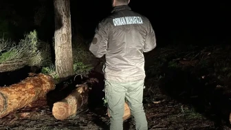Sinop’ta yeşil nöbet: Ekipler ormanları gözünü kırpmadan koruyor