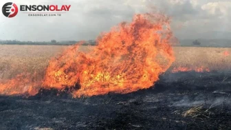 Adıyaman'da elektrik direğinden çıktığı iddia edilen yangın buğday tarlasını küle çevirdi