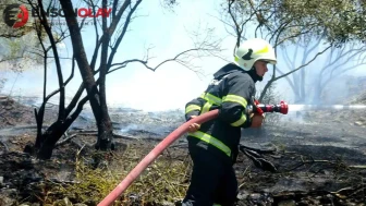Menteşe’de zeytinlik alanda çıkan yangın hızla kontrol altına alındı