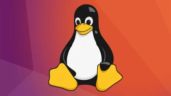 Linux Kullananlar Uyanık Olmalı: Önemli Root Güvenlik Açığı Tespit Edildi