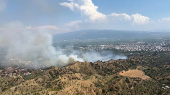 Aydın Nazilli'de zirai alanda yangın çıktı