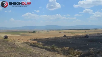Amasya'da buğday ekili arazide yangın : 40 dönüm arazi zarar gördü