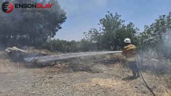 Hassa'da otluk alanda yangın kontrol altına alındı