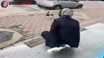 Kocaeli'de kedinin yüzüne yağ çözücü sıkan market çalışanı beraat etti