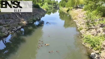 Manisa'nın Kent Park'ında Sevimli Yaratıklar Görevlerine Başladı: Maskotlar Artık Burada!