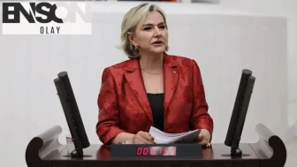 Nimet Özdemir CHP’den istifa etti: Üçüncü yılında üçüncü parti iddiası!