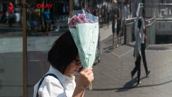 Avrupa'da aşırı sıcaklar hayatı durdurdu!