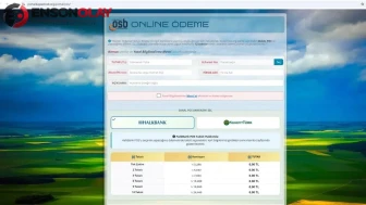 Kayseri OSB sanayicisine sanal POS üzerinden taksit imkanı