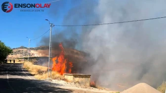 Adıyaman'da Karga Panik Yarattı: Orman Yangını Kontrol Altına Alındı