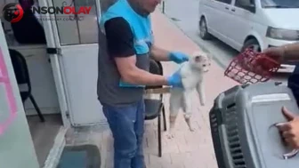 Kayseri'de havalandırma boşluğuna sıkışan kedi kurtarıldı