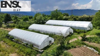 Ordu’da toprağın bereketi seralarla katlandı: 68 bin metrekarelik dev dönüşüm