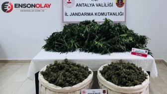Antalya Serik'te uyuşturucu operasyonu : 11 kilo esrar ele geçirildi