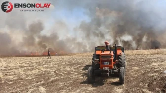 Tekirdağ Çorlu'da 80 dekar buğday ekili alan yandı