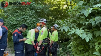 Bursa Uludağ'da ıhlamur toplamaya giden yaşlı adam uçurumdan düşerek öldü
