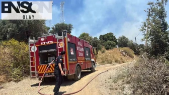 Bodrum’da korkutan alevler: Vatandaşın dikkati büyük bir felaketi önledi