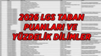 Nevşehir Lise Taban Puanları ve Yüzdelik Dilimleri 2026