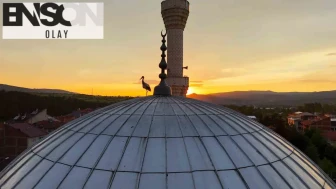 Kastamonu’da kartpostallık manzara: Leylekler gün batımında cami kubbesini mesken tuttu