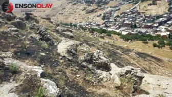 Mardin’in yeşilli ilçesinde orman yangını söndürüldü