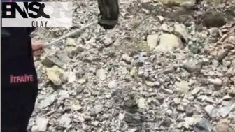 Evdeki davetsiz misafir paniğe neden oldu: İtfaiye ekipleri santim santim aradı