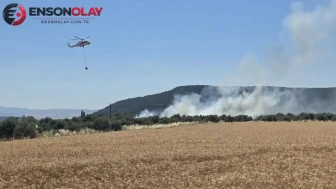 Çanakkale Ezine'de tarım arazisinde yangın çıktı