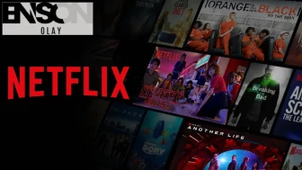 Öğretmenden Netflix'e telif dersi