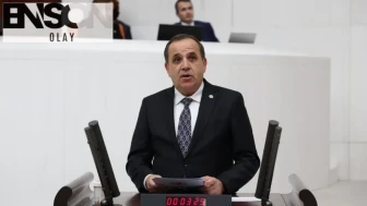CHP'li Vekilden Kritik Uyarı: Beyaz Et Sektörü Zorlanabilir