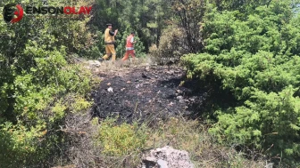 Muğla Menteşe'de yangın : Ekiplerin müdahalesiyle kontrol altında