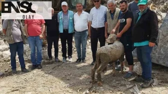 Yılan hikayesine dönen projede mutlu son: Hisarcık-Gediz yolunda iş makineleri yeniden sahada