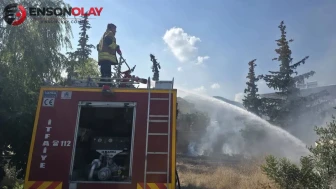 Hassa'da bahçe yangını kontrol altına alındı
