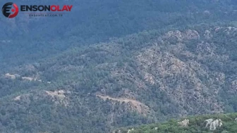 Marmaris'te yol kenarında çıkan yangın ormana sıçradı
