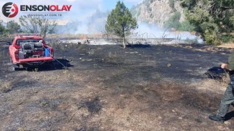 Bilecik'te elektrik direğinden yangın çıktı, 3 dönümlük alan yok oldu