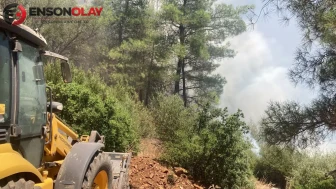Bodrum'da ormanlık alanda yangın : Ekiplerin 1 saatlik çalışmasıyla söndürüldü