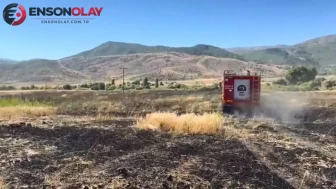 Elazığ Kovancılar'da çıkan arazi yangını söndürüldü