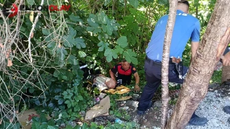 Bartın'da baygınlık geçiren yaşlı adam 5 metrelik uçurumdan çalılıklara yuvarlandı