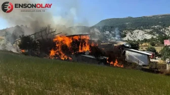 Mudurnu'da Çıkan Yangında Köydeki Ahır ve Samanlık Kül Oldu
