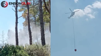 İzmir Bayındır'daki orman yangını kontrol altına alındı