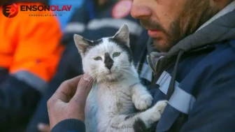 Karabük'te halı sahanın demirlerinde mahsur kalan kediyi itfaiye kurtardı