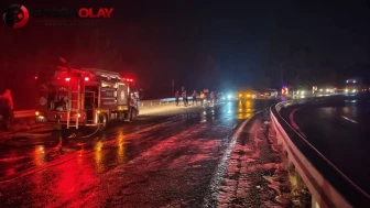 Mersin'de Yolculuk Halindeki Tırda Çıkan Yangın, Aracın Kullanılamaz Duruma Gelmesine Neden Oldu