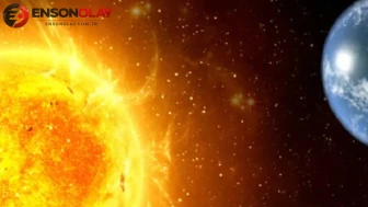 Köklerin Mirası: Yeni Sezon Heyecanı Başladı!