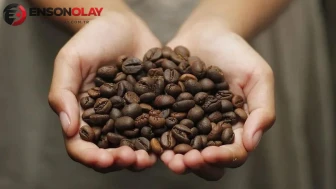 Kişi başı kahve tüketimi 2,5 kilograma koşuyor