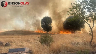 Gölbaşı'nda Meydana Gelen Trafo Patlaması Sonucu Alevler 1 Hektarlık Ormanlık Alanı Kül Etti