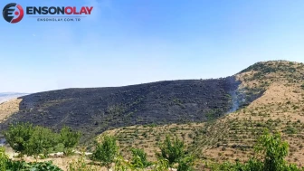 Afyonkarahisar'daki yangında 150 hektar alan küle döndü