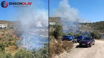 Bodrum'da otluk ve makilik alanda yangın : Havadan ve karadan müdahale başlatıldı